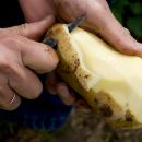 Kitchen HACK: How To Peel A Potato In Seconds