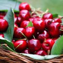 Kitchen HACK: This is the Fastest and Easiest Way to Pit a Cherry