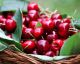 Kitchen HACK: This is the Fastest and Easiest Way to Pit a Cherry