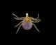 One Bite From This Spreading Tick Could Make You Deathly Allergic To Red Meat