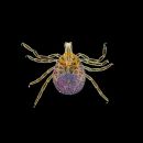 One Bite From This Spreading Tick Could Make You Deathly Allergic To Red Meat