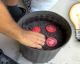 Never Buy Tomatoes Again! Here's How To Grow As Many As You Want At Home