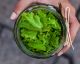 THIS Is How You Store Salad Greens to Make Them Last Longer
