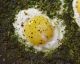 Pesto Eggs: TikTok's Fave New Breakfast