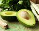 The AVOLATTE: What the Heck is This New Instagram Trend?!