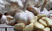 Kitchen HACK: Peel Garlic in SECONDS