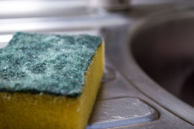 How often should you replace your kitchen sponges?