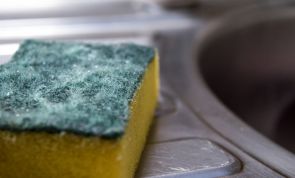 Do you know how often you should really change your kitchen sponge?