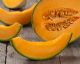 How To Make MELONCELLO, the Perfect Cocktail for Summer