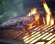 This Popular Summer Activity Might Cause Cancer