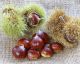 Why You Should Add Chestnuts To Your Diet