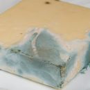 Can You Still Eat Moldy Cheese?