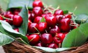 Speed up weight loss with these 10 plant cures