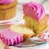 Cupcakes with frozen yogurt icing