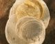 10 recipes that prove tortillas are awesome