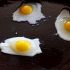 Cook the quail eggs