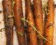 20 ways to cook vegetables that will change your life