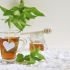 Herbal tea with lemon balm