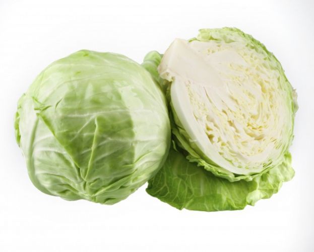 The cabbage