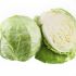 The cabbage