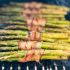 Grilled Bacon-Wrapped Asparagus