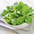 6. Lamb's lettuce