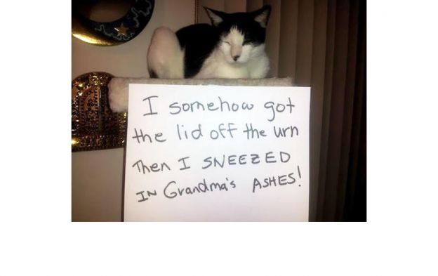 That woman is dead to me.