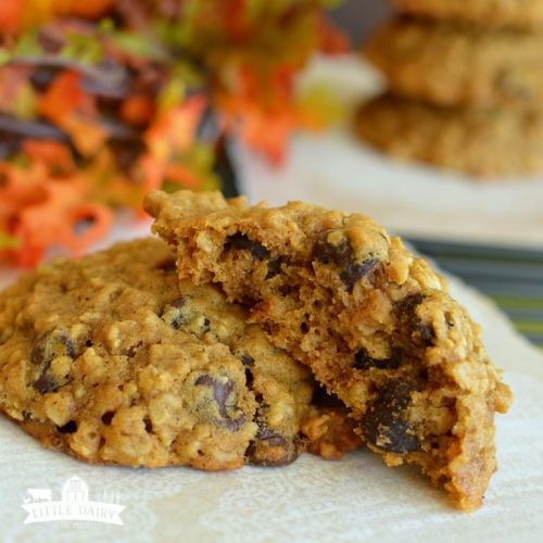 Pumpkin oatmeal chocolate chip cookies