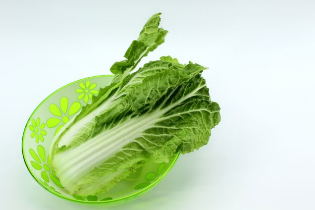 Napa Cabbage