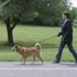 Take a stroll