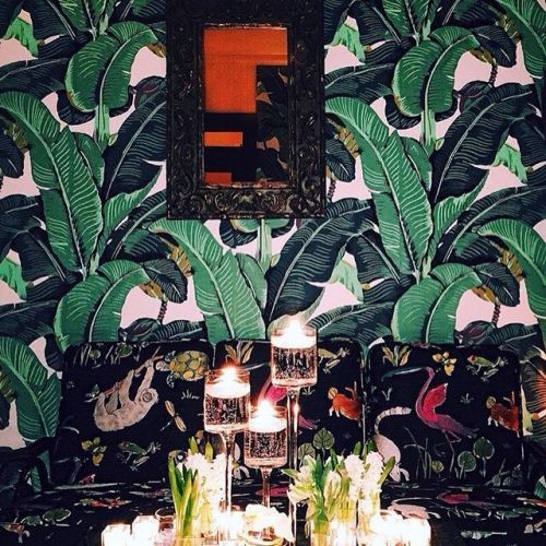 American Psycho: Indochine, New York City