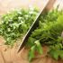 Fresh herbs