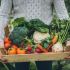 Most of the Ingredients Used for Making Meals at Highgrove Came from...