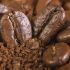Store coffee beans in the fridge