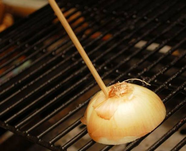ESSENTIAL ONION TRICKS