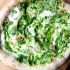 Ramp green pesto pizza with burratta
