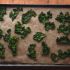 Kale Chips