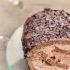 Festive chocolate log
