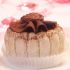 Chocolate Charlotte Cake