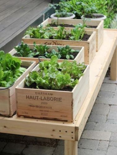 Wooden crates
