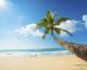Summer sips: 7 thirst-quenching beverages that won't ruin your bikini body