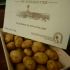 #14 LA BONNOTTE DE NOIRMOUTIER potatotes