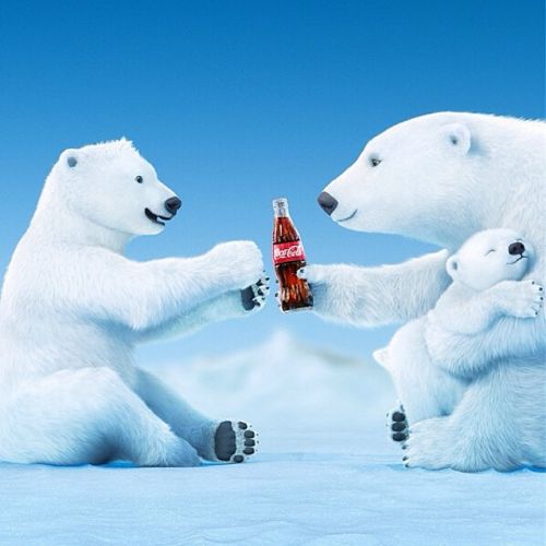 Top 91+ Images cold drink with a polar bear mascot Completed