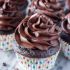 Ultimate double chocolate cupcakes