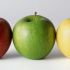 Apples