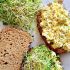 Egg salad with tuna and sweet pickles sandwiches