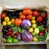 Load up on fruits and veggies