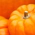 PUMPKINS