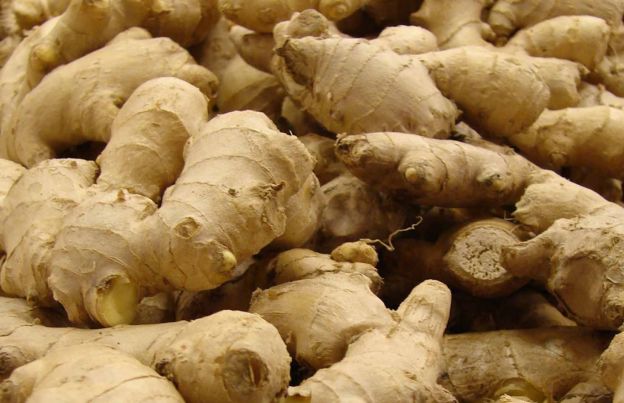 1. GINGER - A true MIRACLE root!