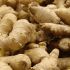 1. GINGER - A true MIRACLE root!